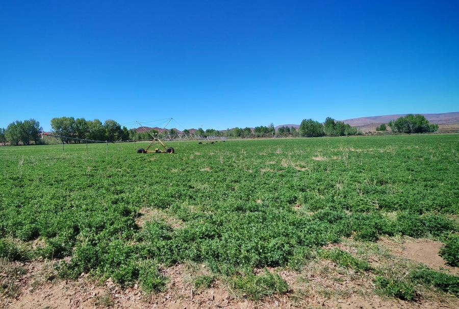 4 Bedroom Property for Sale in Middelburg Rural Eastern Cape